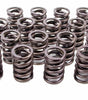 1.460in Valve Springs - BBF