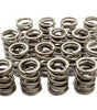 1.550in Valve Springs - BBM