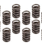 1.540 Valve Spring Set 16