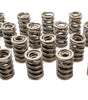 Victor Series Valve Spring Set