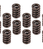 1.460 Valve Spring Set 16