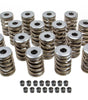 1.500in Valve Springs - BBC