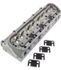 SBF Victor Jr. Cylinder Head - w/Valves Only!!