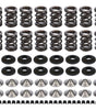 Endurance Dual Spring Kit Honda/Acura1.6/1.8