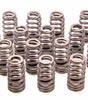 Boss 302R Valve Spring Kit 2011-up 5.0L Engine