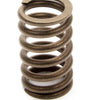 1.250 Valve Spring - SBC for 602 Crate Engine