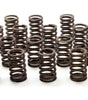 1.250 Valve Springs - SBC for 602 Crate Engine