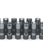 LS1 Hyd. Roller Lifter Set