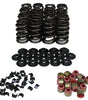 1.280 Valve Spring Kit Beehive