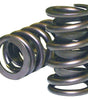 Single Valve Springs - 1.265