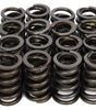1.265 Valve Springs w/ Damper