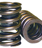 Single Valve Springs - 1.250