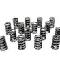 Single Valve Springs - 1.265