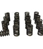 1.265 Valve Spring Set 16pk Single w/Damper