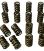 Dual Valve Springs - 1.437