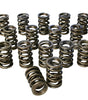 Dual Valve Springs - 1.437