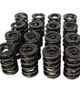Dual Valve Springs - 1.437