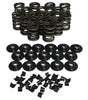 1.470 Dual Valve Spring Kit - w/Damper