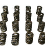 Dual Valve Springs - 1.470