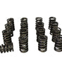 1.525 Valve Single Valve Springs w/Damper (16)