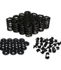1.500 Valve Spring Kit Dual