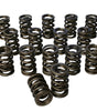 Dual Valve Springs - 1.500