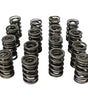 Dual Valve Springs - 1.557