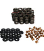 1.514 Dual Valve Spring & Retainer Kit w/Damper