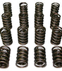 Dual Valve Springs - 1.514