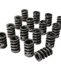 Dual Valve Springs - 1.540