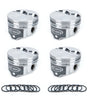 SBM 360 FT Piston Set 4.060 Bore +5cc