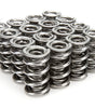 1.660 Triple Valve Springs Tool Room Steel