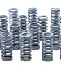Valve Spring Set - 32-53 Ford Flathead V8