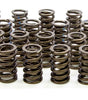 1.260in Valve Springs