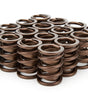 1.490 Valve Springs