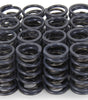1.240 Dual Valve Springs