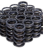 1.240 Dual Valve Springs