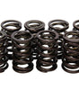 Valve Springs - Nissan SOHC