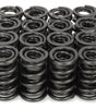 1.340 Dia Valve Springs (12pk)
