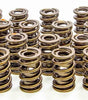1.560in Valve Springs