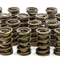 1.534 Valve Springs
