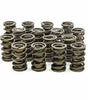 1.570 Dual Valve Springs