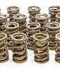 1.570 Valve Springs