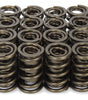 1.570 Valve Springs