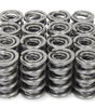 1.600 Dual RAD Valve Springs