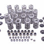 Valve Spring & Retainer Kit