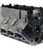 DRT31947112-WW2