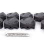 BBC Elite Sportsman Piston Set 4.610 Bore