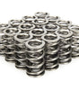 1.324 NexTek Dual Valve Springs
