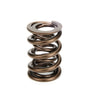 1.640 Dual Valve Spring